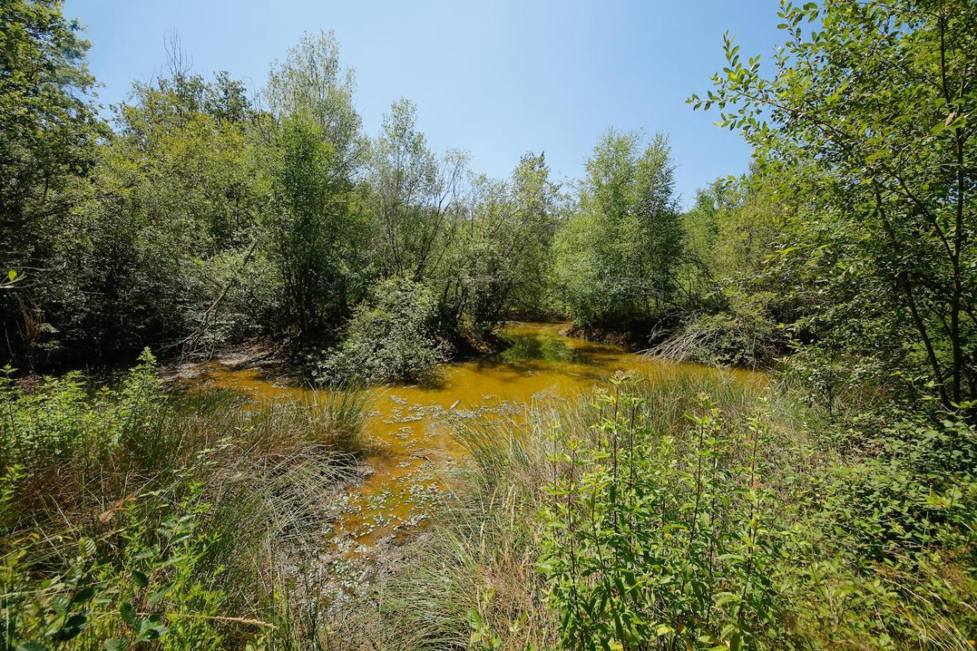 Domaine La Faix, Gite La Chouette Saint-Plaisir Buitenkant foto