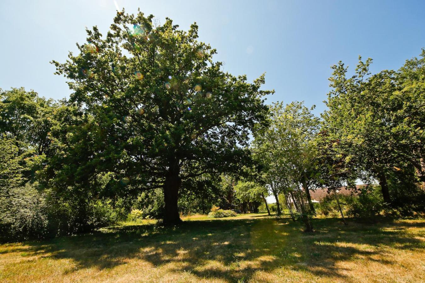 Domaine La Faix, Gite La Chouette Saint-Plaisir Buitenkant foto
